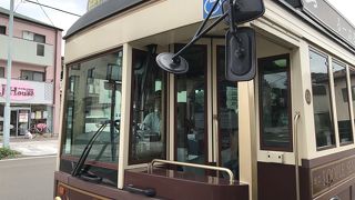 観光地各所を巡ります