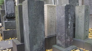 岩瀬と書かれた墓のうち岩瀬醒墓の方