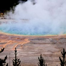 グランドプラグマティックスプリング