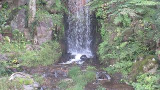 林から流れています