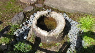 貴重な化石です