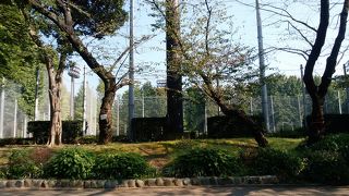 上野恩賜公園内にある野球場