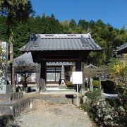 最勝寺経由弓立山に登りました