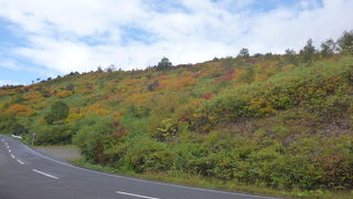 展望所があります