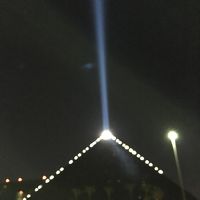 夜には光を放ちます