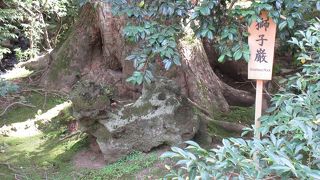 獅子をなんとかイメージできました