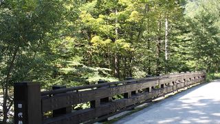 橋上からの眺めが絶景です