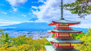 春には日本らしい風景が見えるスポットです