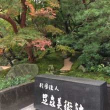 入口の植栽です