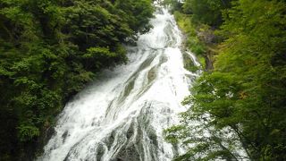 下から見上げる滝