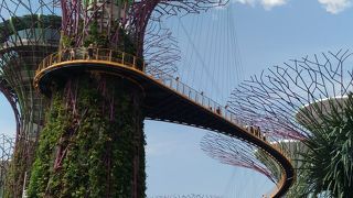 マリーナベイにある巨大な植物園