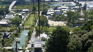 錦帯橋と岩国城ロープウェイの間の公園。鵜がいます。