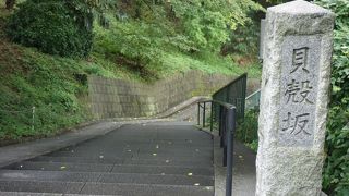 緑が濃い情緒ある坂道