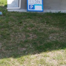 かわいい看板が目印です