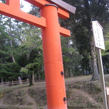 春日大社一の鳥居