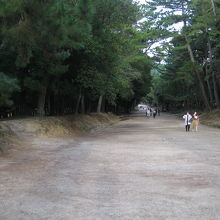 春日大社一の鳥居からの参道