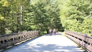 歩き易い散策路