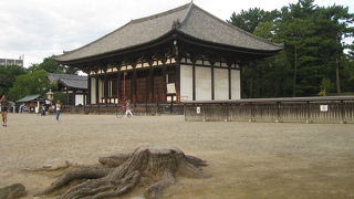 五重塔横に建つ金堂