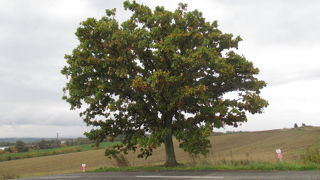 パッケージの絵柄はどんなものだったのでしょうか