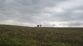 こじつけも観光のため！