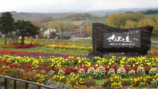 国道２３７号線沿いにあります。