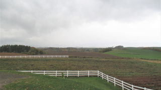 十勝岳連峰の眺望が良いようです。