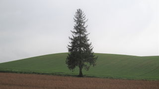 車を止めておける場所はありません。