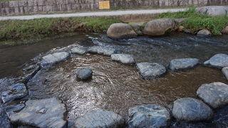 50パーセントの確率