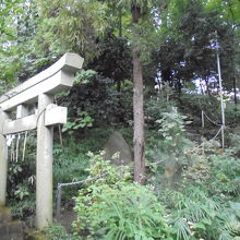 境内の左側は小高い富士塚が