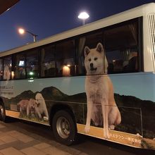 大館市内行きの連絡バス。秋田犬のイラストが可愛いです。