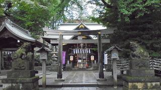 富士塚があります（杵築大社）