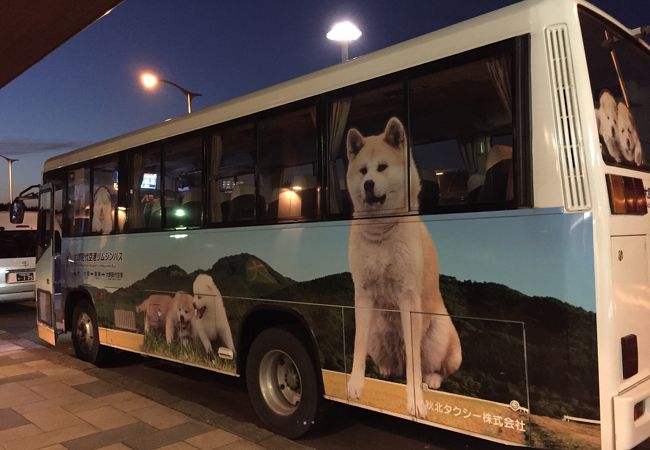 秋田犬のイラストが可愛いバスです！