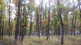 好きな作家さんであれば寄ってみましょう。