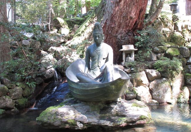 永平寺 一葉観音 クチコミ アクセス 営業時間 永平寺 丸岡 フォートラベル