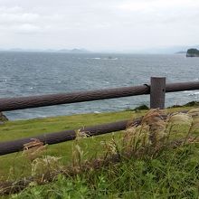 ススキが揺れる