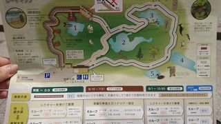 10分の講習を受けて大ループ1,5時間！