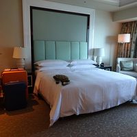 広かったですよ。