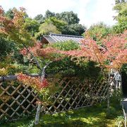 庭園と茶室の配置が素晴らしいお寺