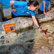 見ごたえのある水族館