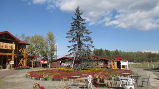 ゆっくりと買い物が出来ました。