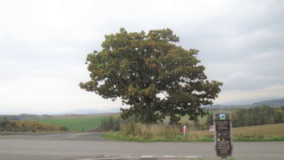 立派な案内板が設置されています。