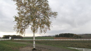 定番の観光コースからは外れている？