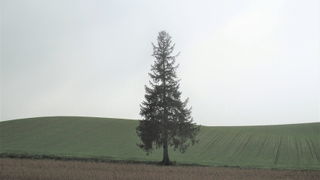 写真好きには堪らない？