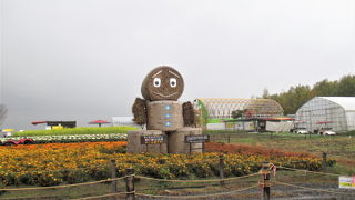 基本は農道です。