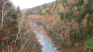 川畔の紅葉が綺麗でした。