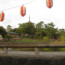 猿沢池と興福寺五重塔