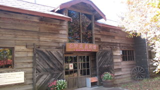 北野武美術館は必見