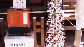 「まゆ玉みくじ」という珍しいおみくじがあります