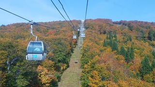 ゴンドラからの紅葉がすばらしい
