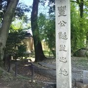 緑一杯の綺麗な公園